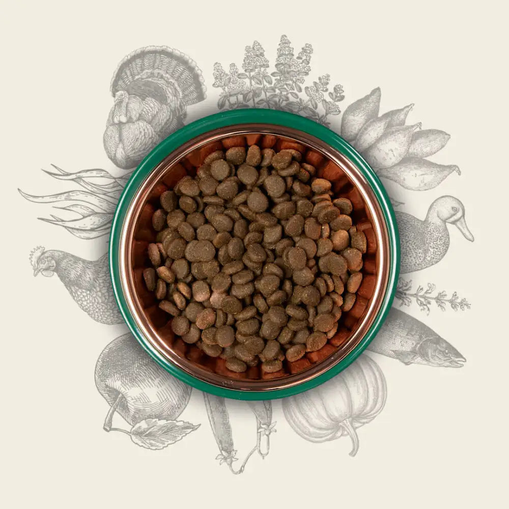 Eden 80/20 Puppy Cuisine green copper bowl with turkey kibble