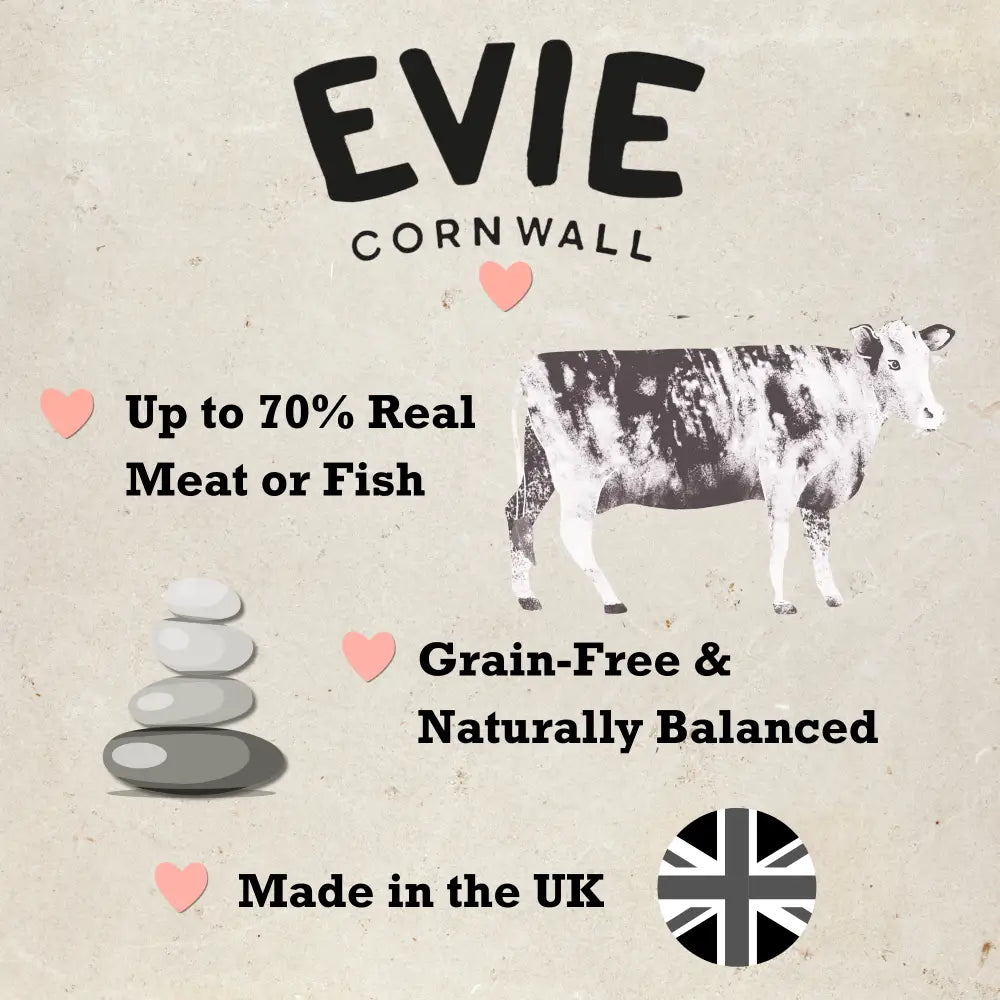 Evie Natural Dry Cat Food Salmon with Whitefish for healthy weight and freshly prepared nutrition