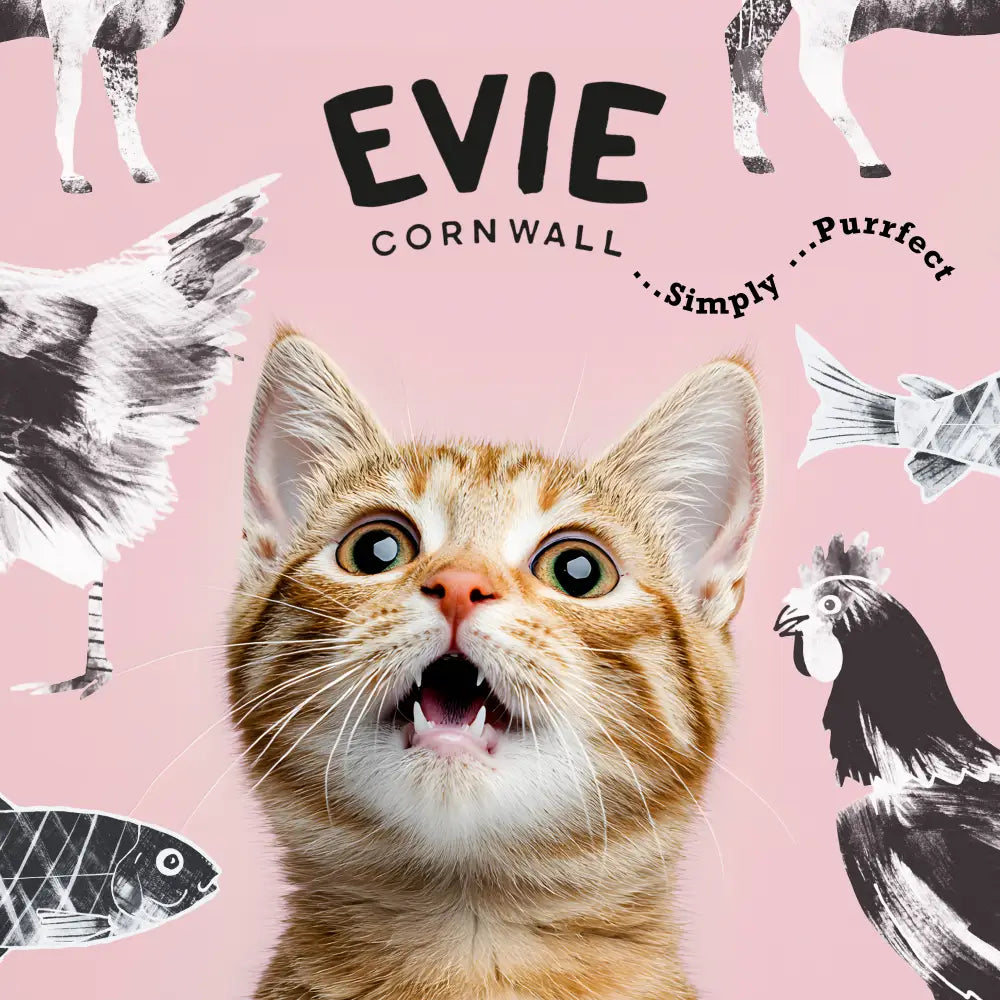Evie Natural Dry Cat Food Turkey With Chicken - Cat Food - Dry