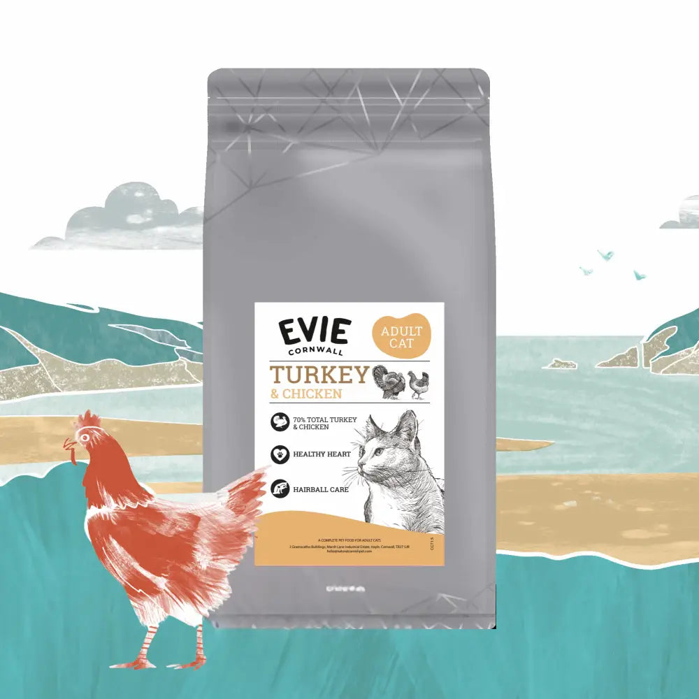 Evie Dry Cat Food Turkey & Chicken on a seaside background