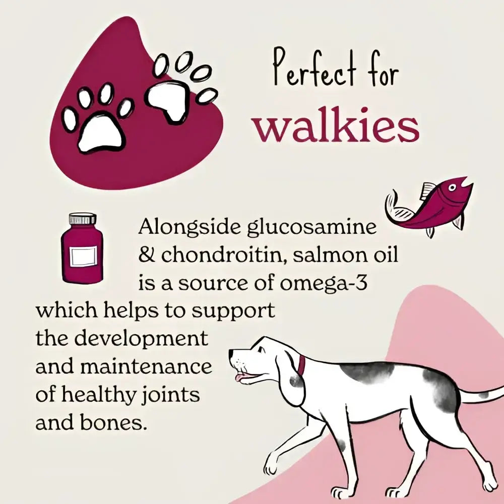 Forthglade Functional Soft Bites salmon oil for joints and bones, 90g