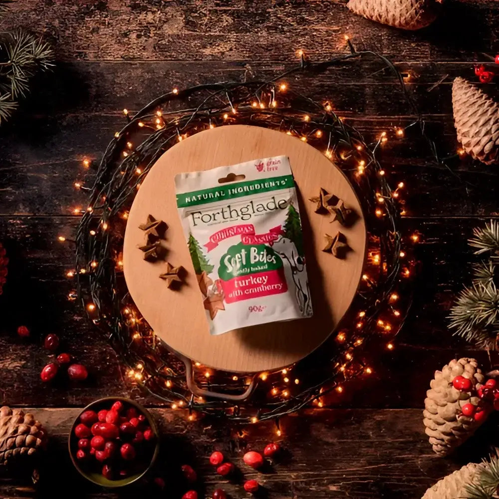Forthglade Natural Christmas Soft Bites Turkey and Cranberry 90g Dog Treats