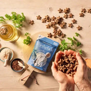 Star-shaped Forthglade Rewards training treats with chicken flavor in hand, soft bites