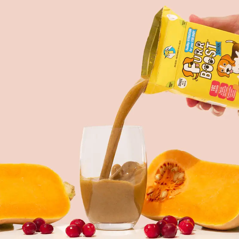 Furr Boost Dog Drink with Butternut Squash in Vibrant Pouch