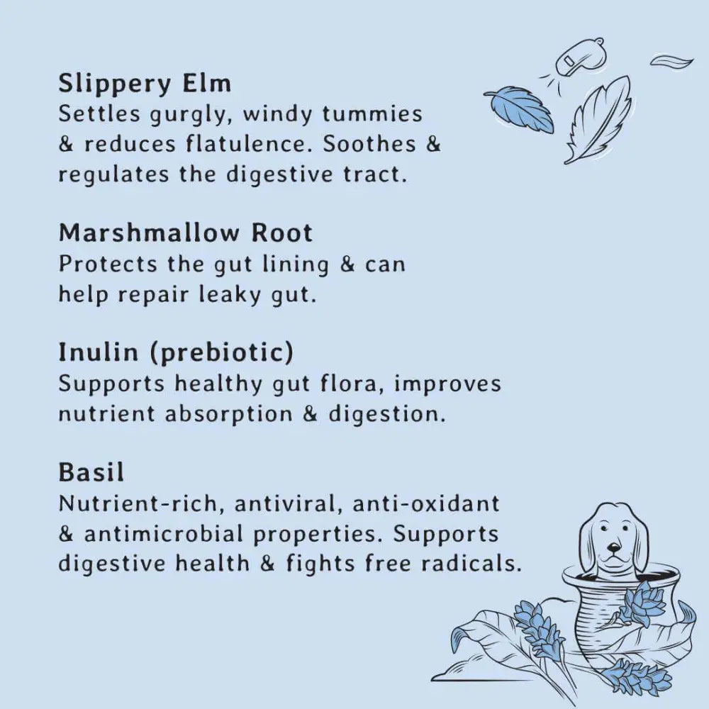 Gizzls natural dog treats: illustration of dog sipping slipper elm tea for healthy gut support