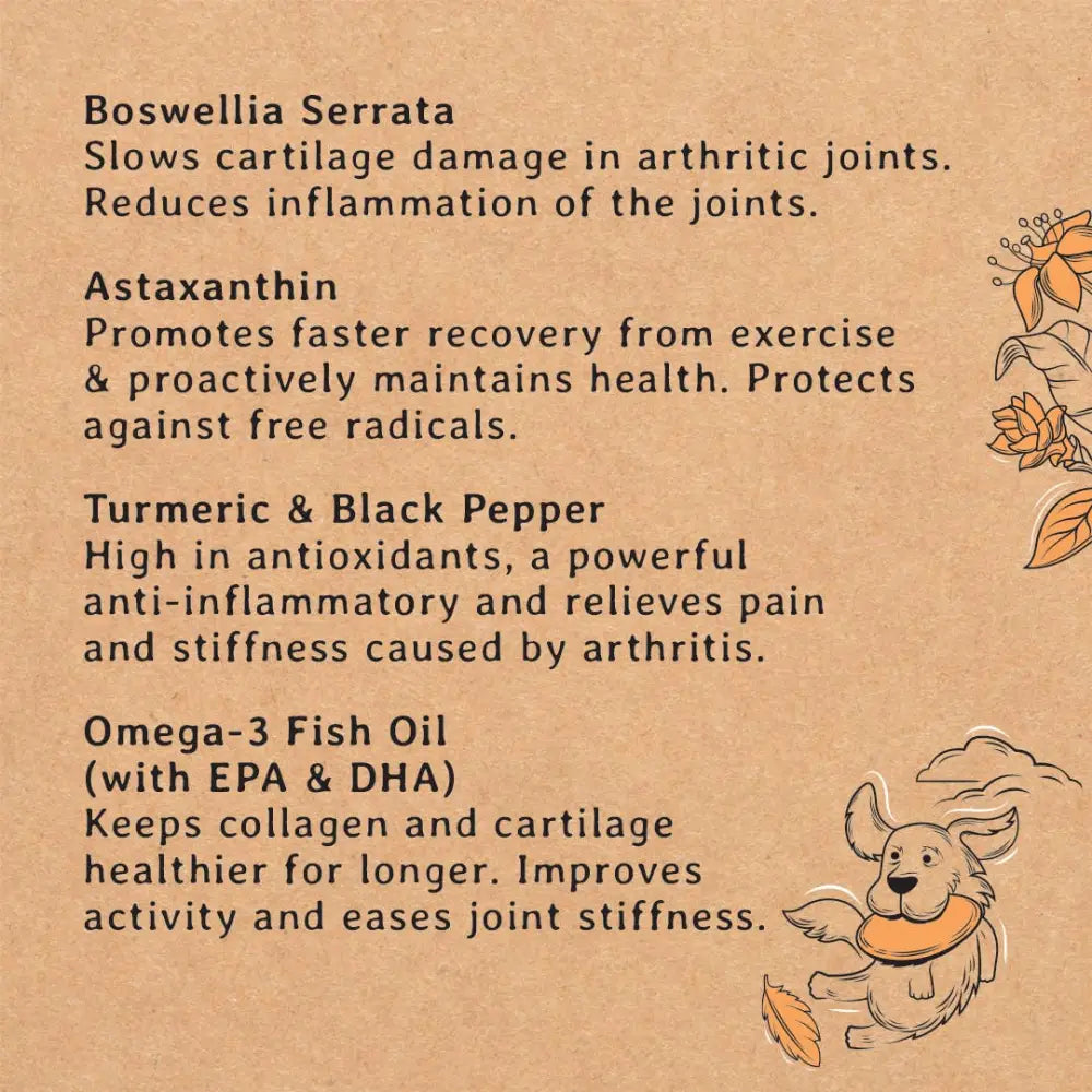 Gizzls natural dog treats for joint pain relief with brown floral chew toy