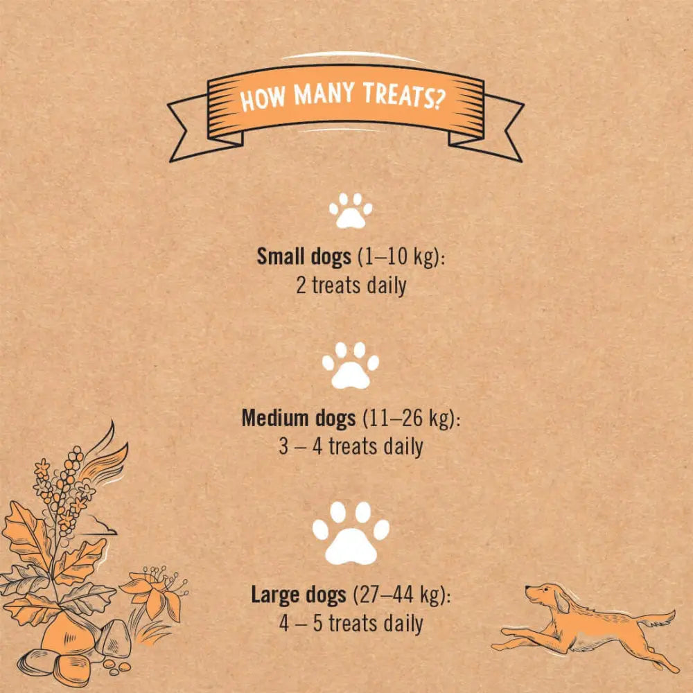 Gizzls natural dog treats chart guide for joint pain relief with paw prints and autumn leaves design