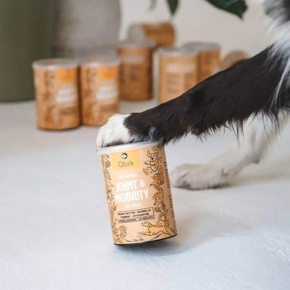 Gluck Gizzls natural dog treats for joint pain relief in chocolate peanut butter bag