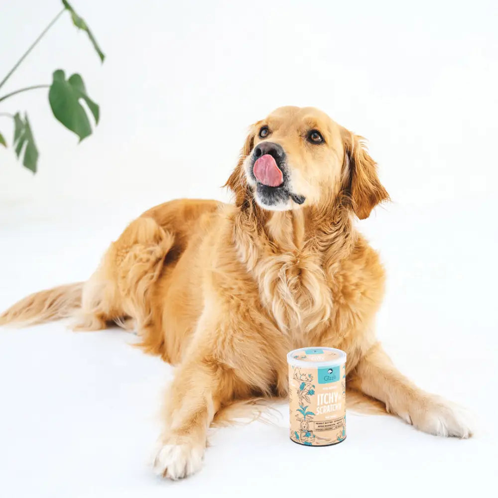 Gizzls 100% Natural Dog Treats Itchy & Scratchy 200g - Natural Treats For Dogs