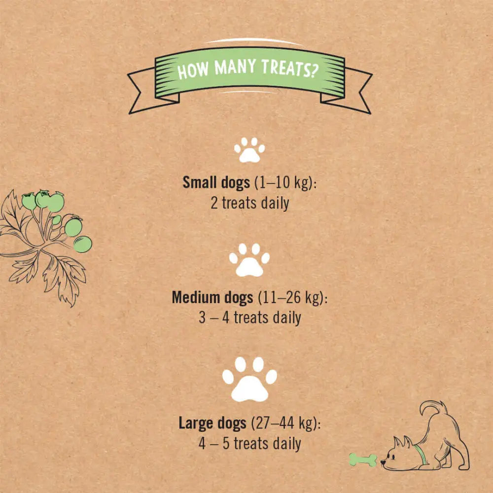 Gizzls natural senior dog treats in brown bag with paw prints and dog illustration
