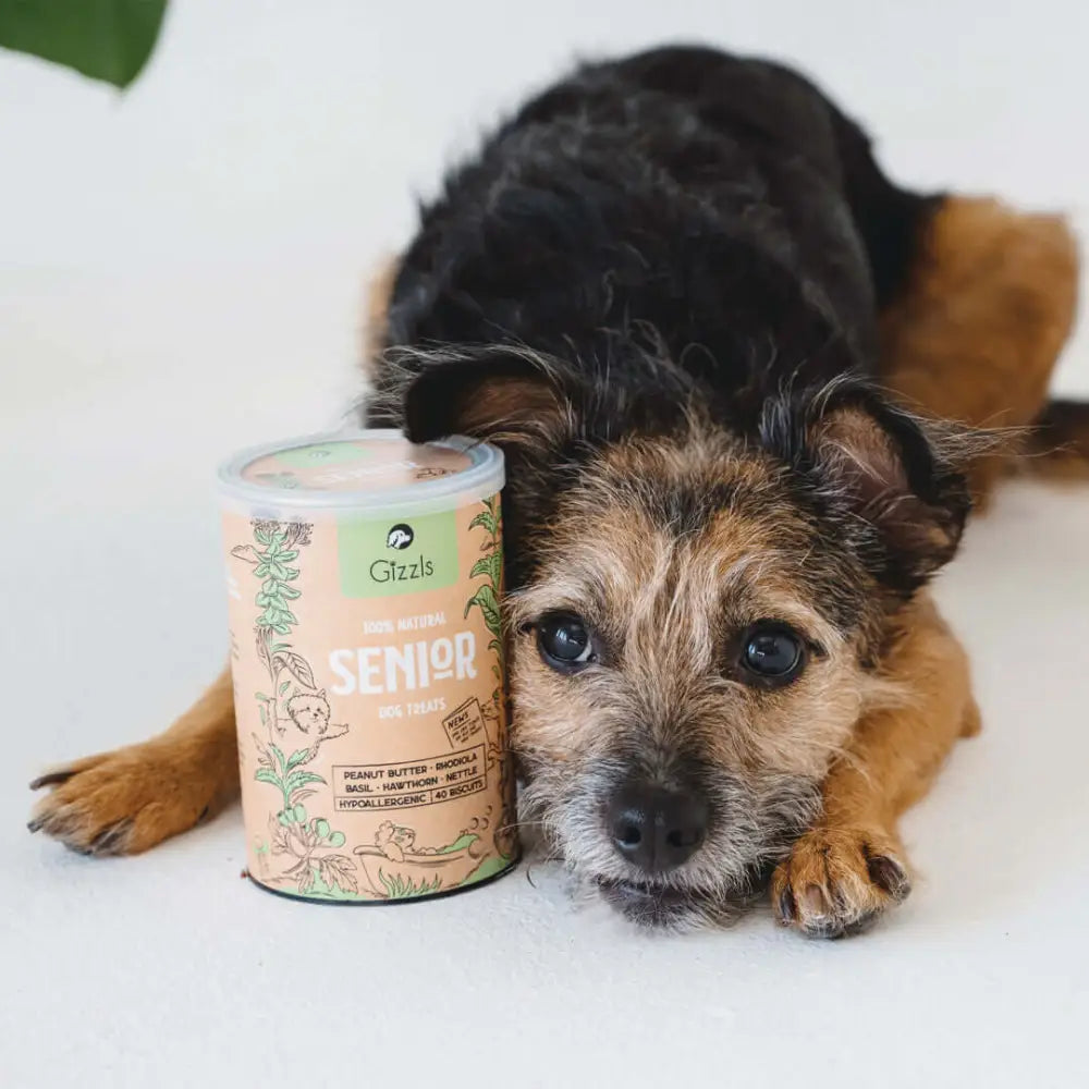 Gizzls natural senior dog treats in pink green leafy tin with organic peanut butter flavor