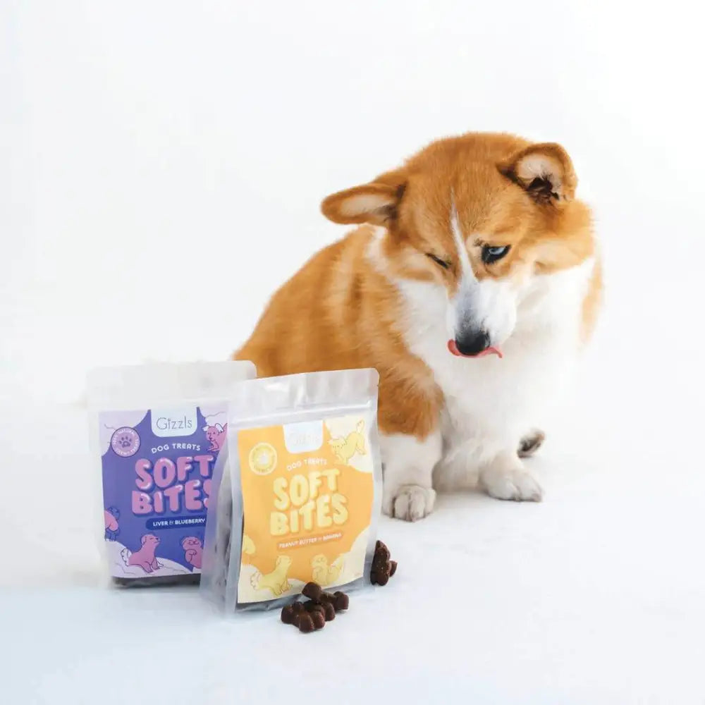 Gizzls Liver & Blueberry Chewy Dog Treats for sensitive mouths in yellow paw print packaging