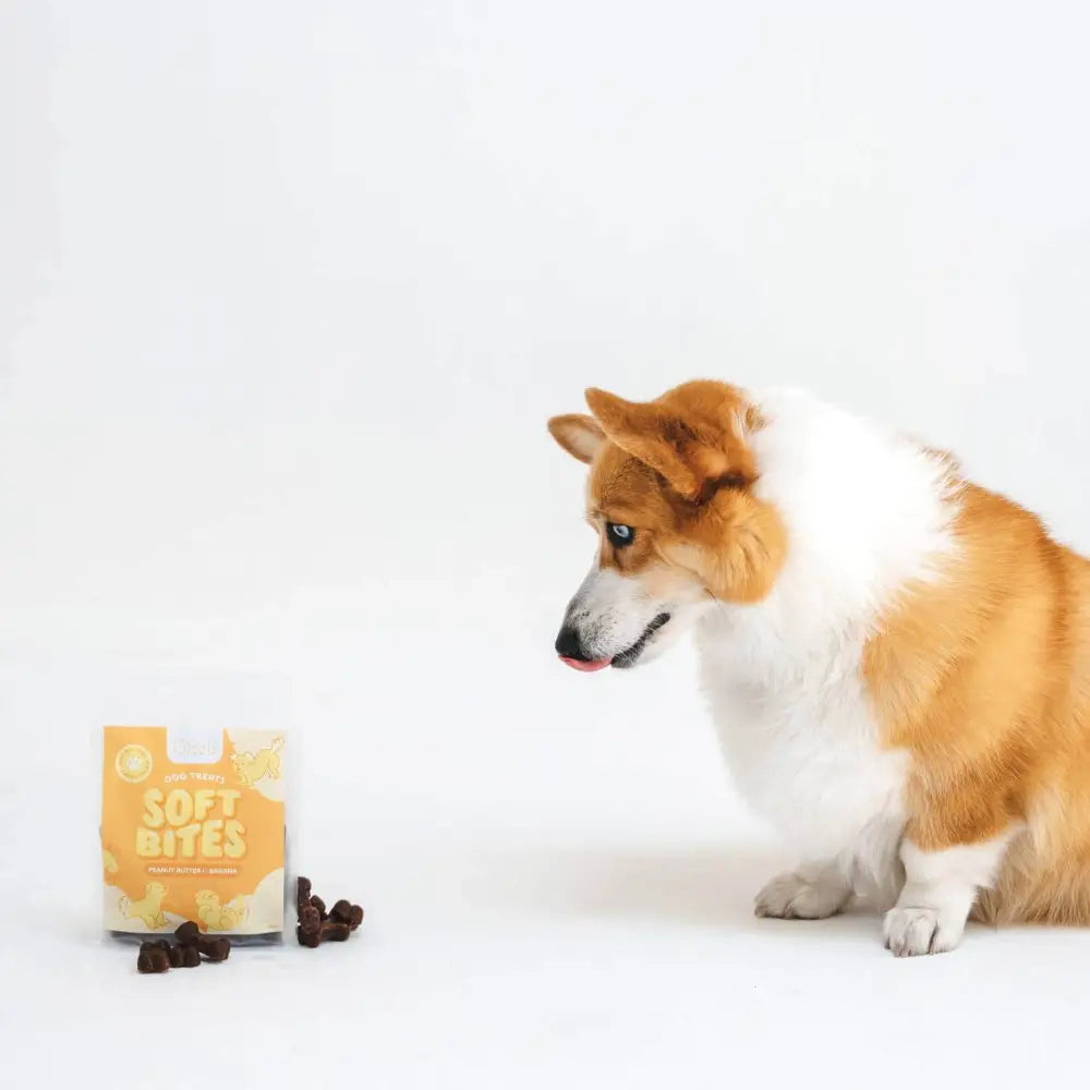 Gizzls Peanut Butter & Banana Chewy Dog Treats 300g