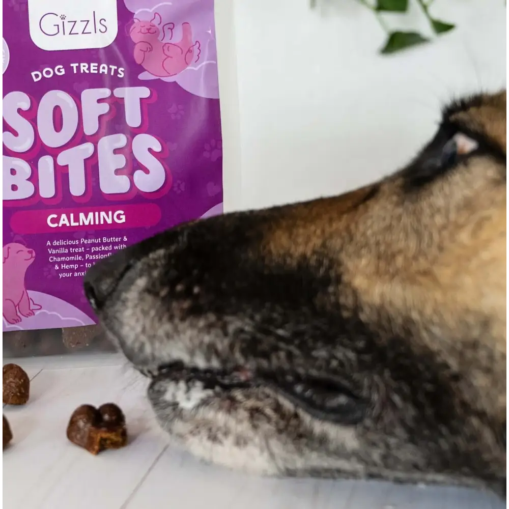 Gizzls Soft Bites calming dog treats bag with pig design for separation stress