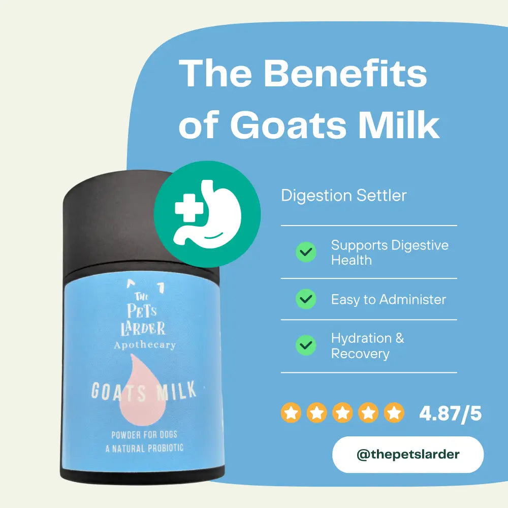 Goat’s Milk Powder for Dogs with Black Cap and Blue Label for Healthy Digestion