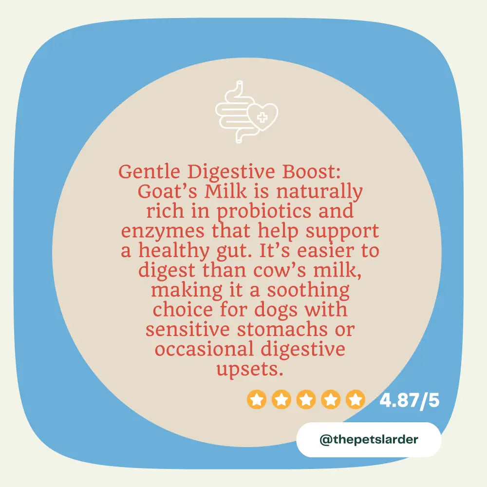 Goats Milk Powder for Dogs promoting healthy digestion and supporting dog’s immune health