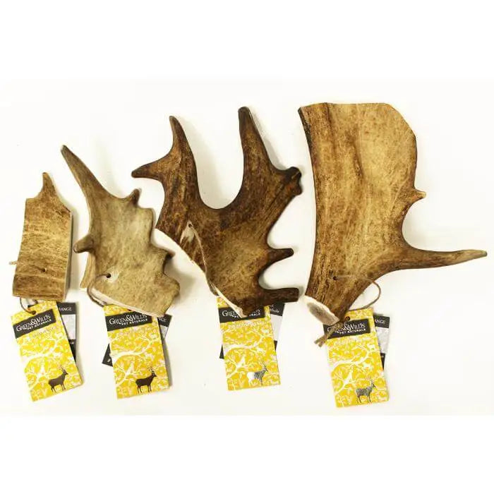 Premium Fallow Antler Dog Chews with Rustic Moose Wall Decor