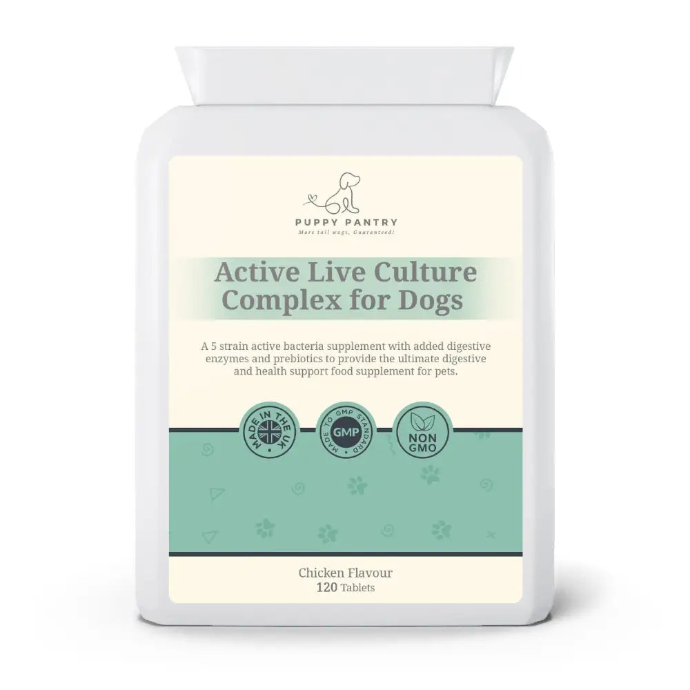 Gut health tablets for dogs with chicken flavor, probiotics, and digestive enzymes blend