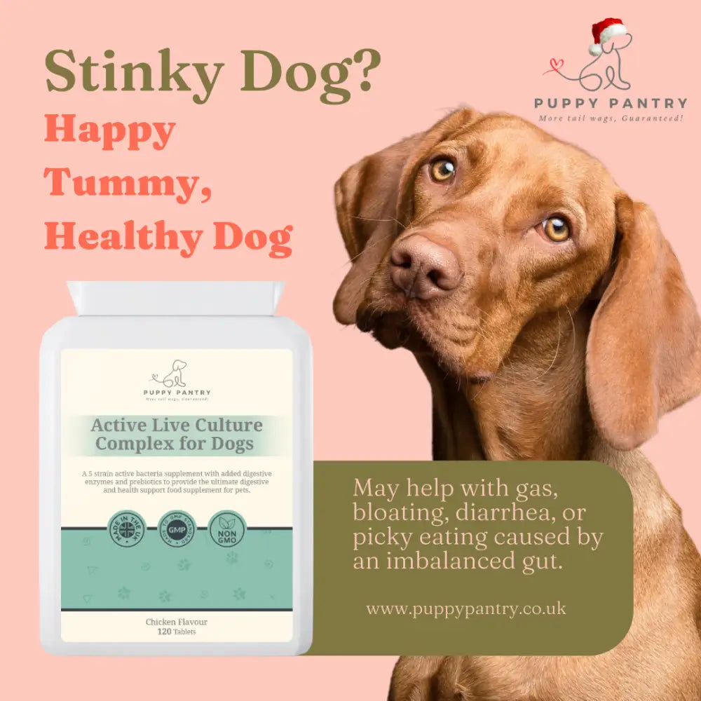 Gut Health Tablets for Dogs with Chicken Flavor, Probiotics and Digestive Enzymes Blend