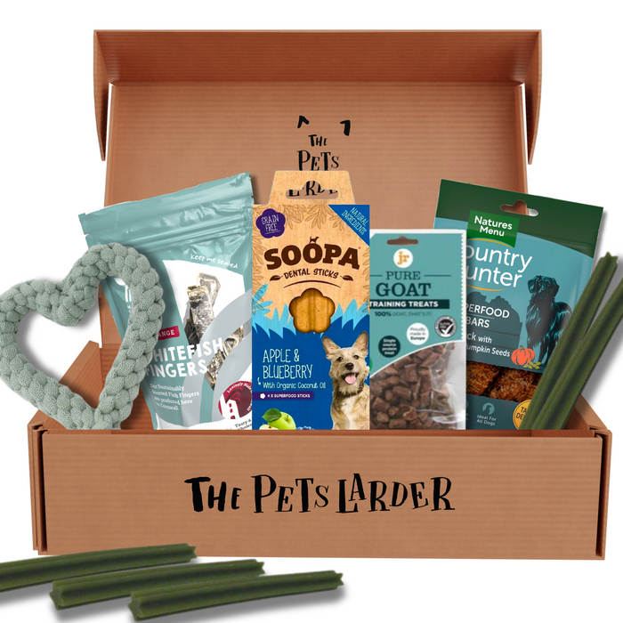 Heart Toy & Treats Bundle For Dogs - Blue