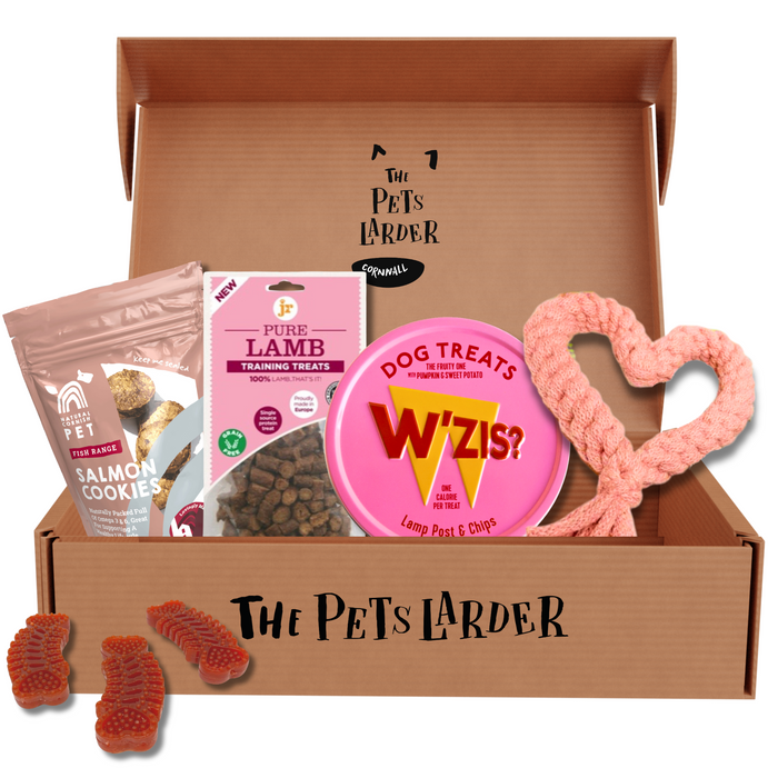The Pets Larder Pink Toy and Treat Box on a white background