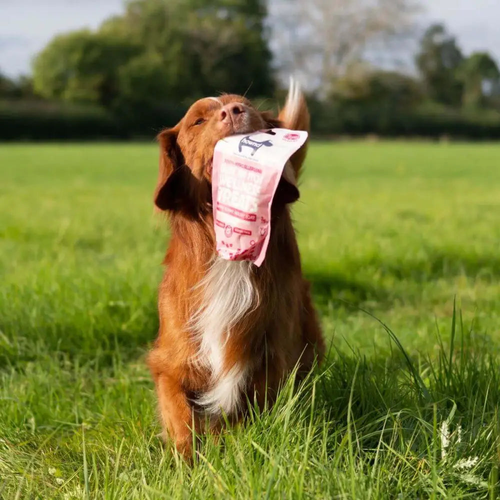 Red and white dog toy with black nylon design for Hownd wellness treats