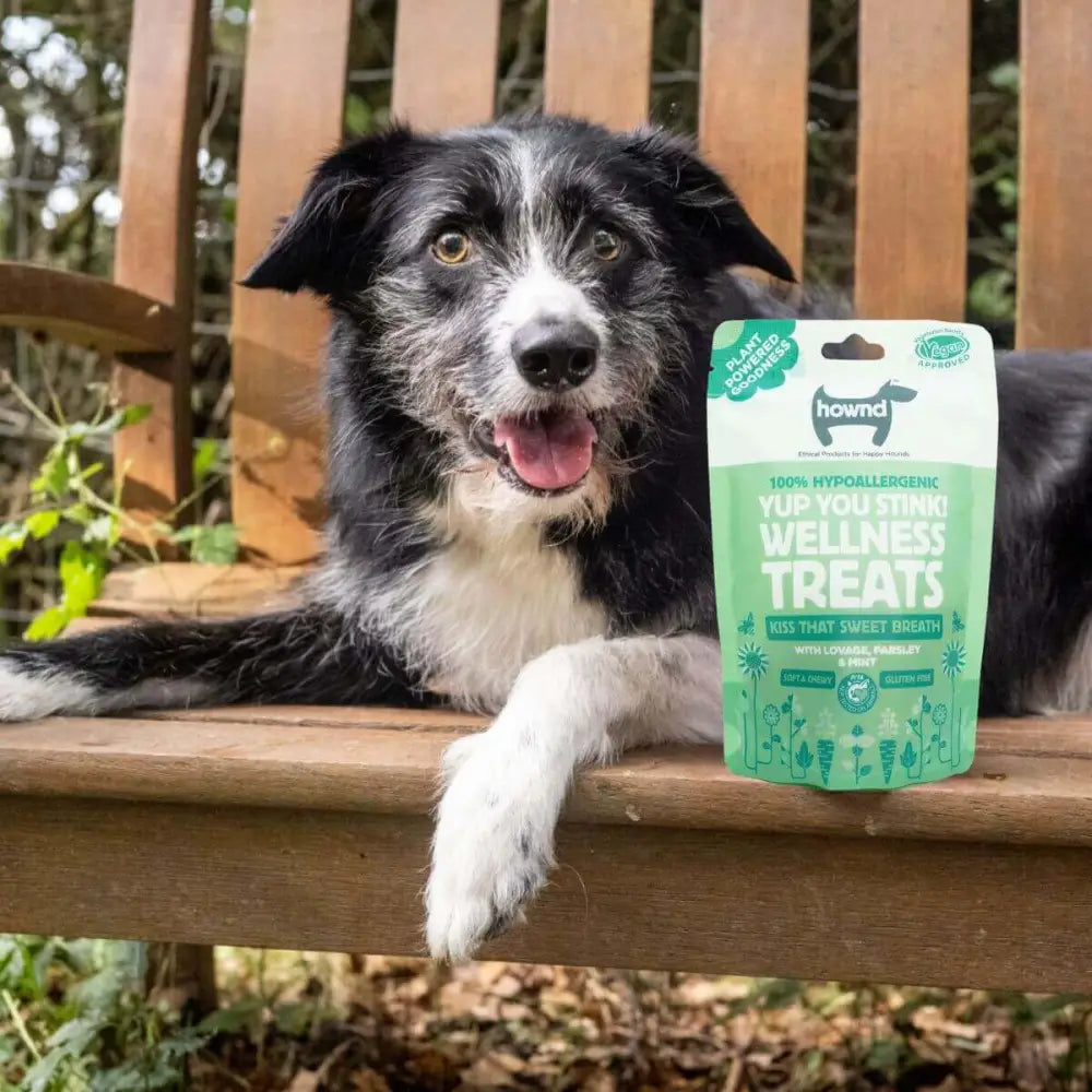 Hownd Yup You Stink! plant based hypoallergenic treats tackling smelly breath