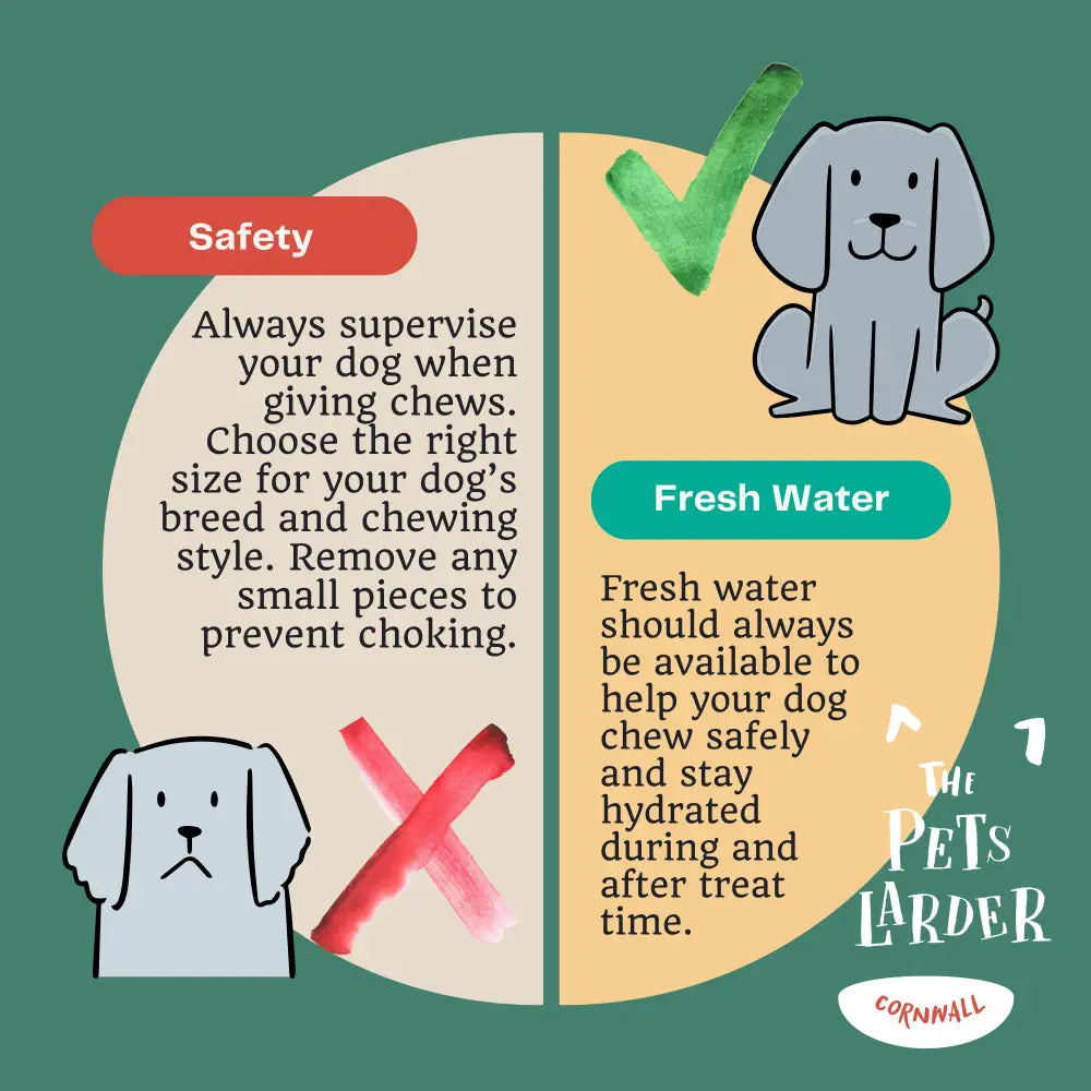 JR Pet Products Beef Tail 250g: Green and white chew toy safety chart with tips