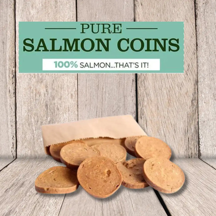 JR Pet Products Pure Salmon Coins - Natural Treats For Dogs