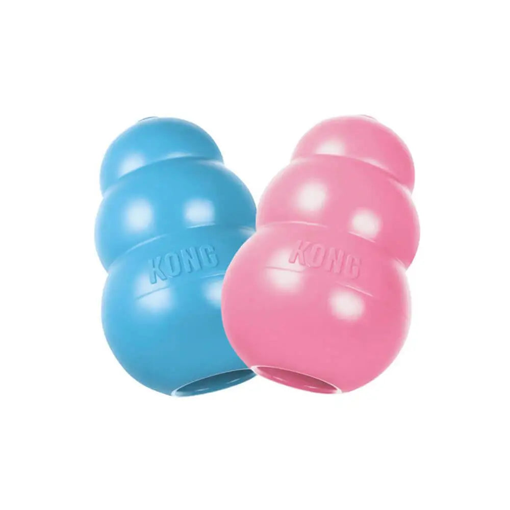 KONG Puppy toy in blue and pink, durable rubber for puppy’s 28-baby teeth chewing behaviour