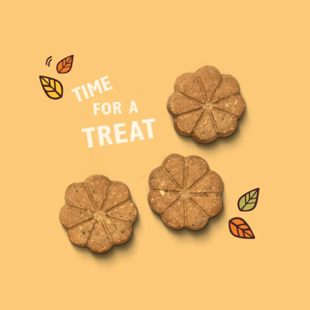 Lily’s Kitchen Breaktime Biscuits: flower-shaped chocolate dog treat with banana and autumn leaves