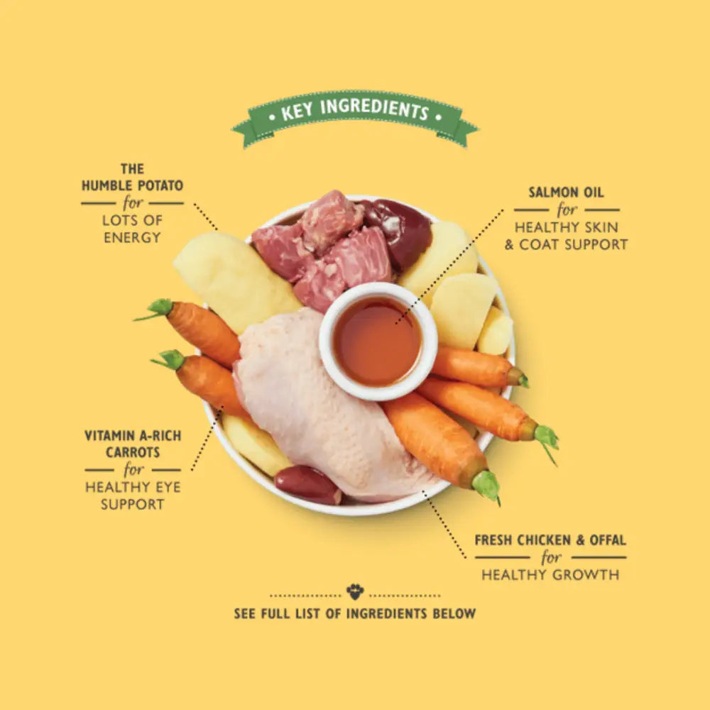 Lilys Kitchen Chicken Dinner for Puppies with fresh carrots, chicken, vibrant ingredients