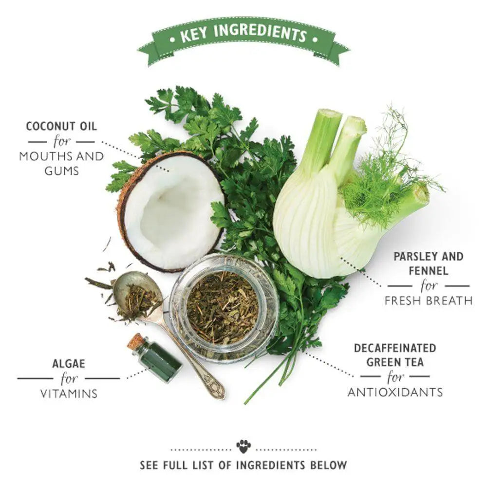 Lilys Kitchen Woofbrush dental chew with coconut oil jar and herbs