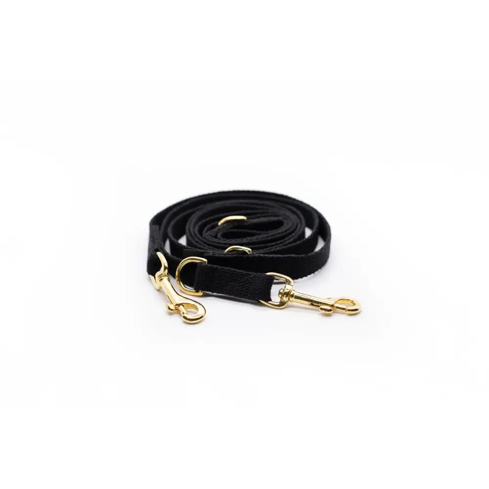 Black leather dog leash with brass hardware, 128-210cm long, from Long Cotton Multi Lead