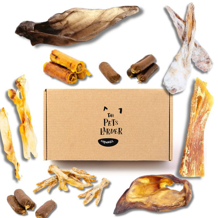 Marvellous Meaty Box for Dogs sits on a white background