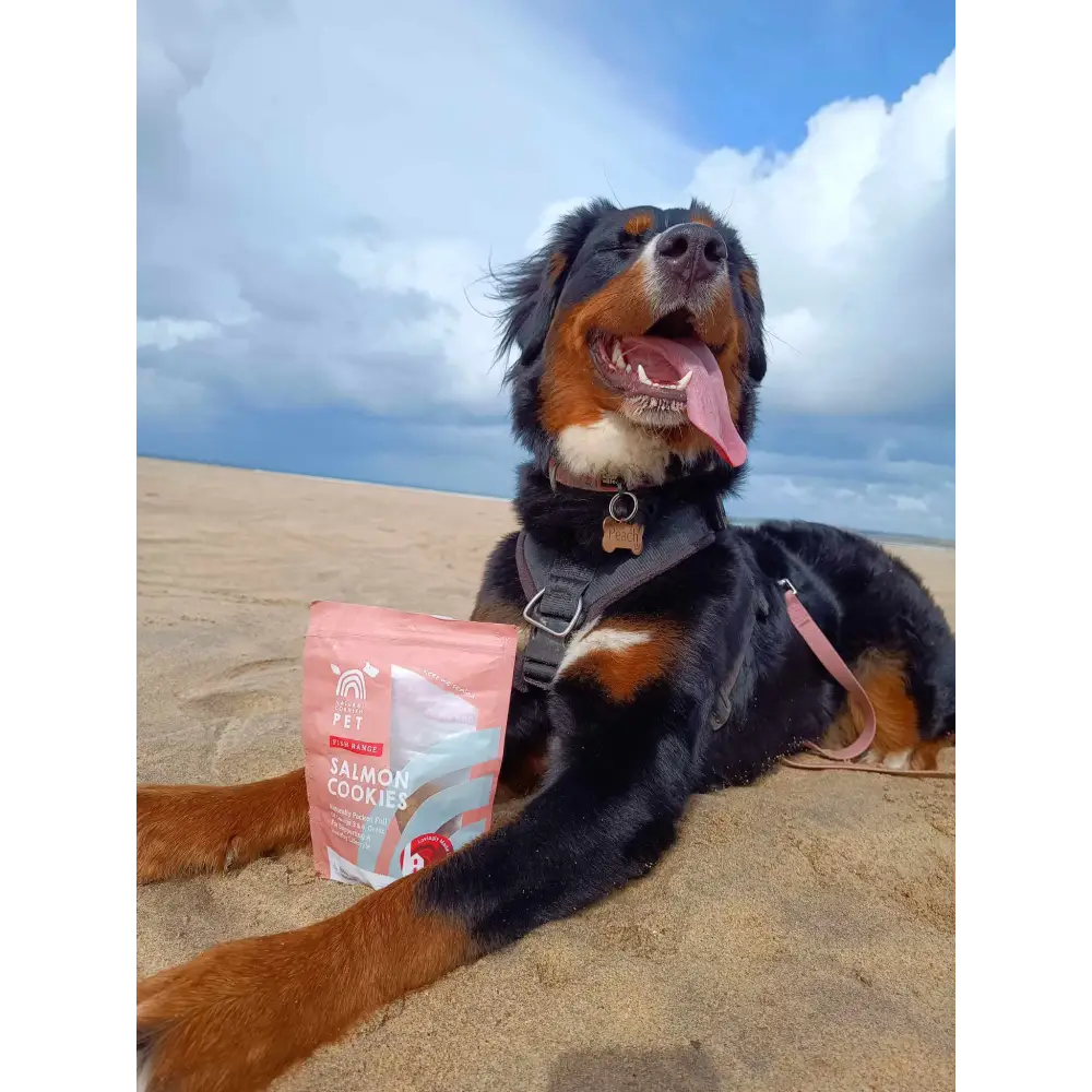 Salmon cookie dog treat bag with pink and white label showcasing Natural Cornish Salmon and Potato Cookies for natural dog treats