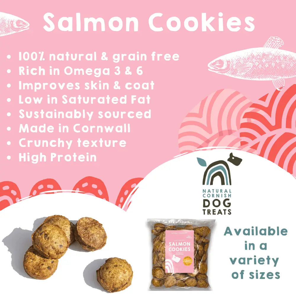 Natural Cornish Salmon and Potato Cookies for natural dog treats with crunchy texture