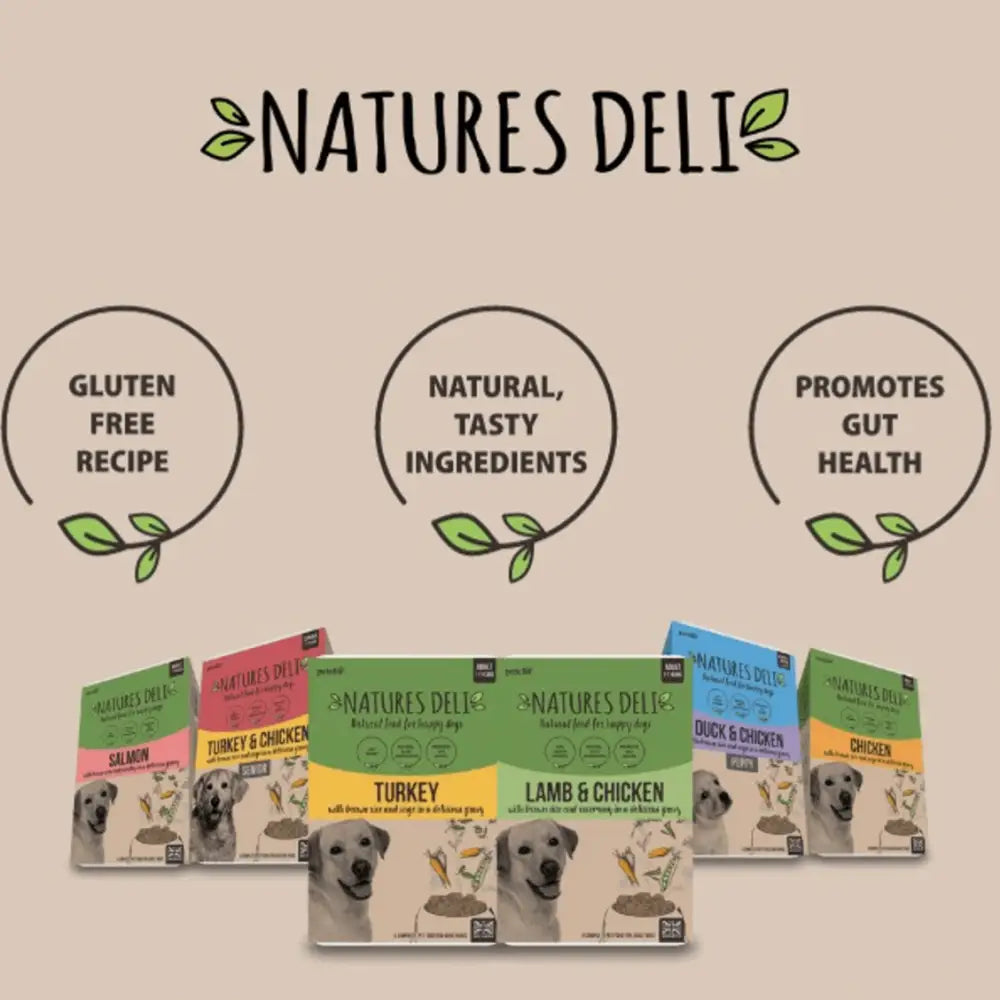 Natures Deli Turkey with Sage and Brown Rice dog food box, gluten-free