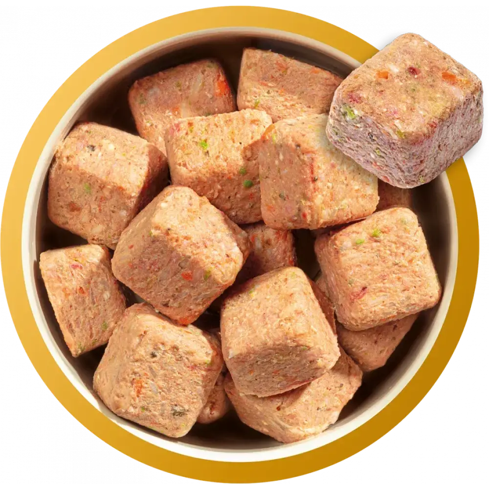 Natures Menu’s brown rice dog food treats in gold-rimmed bowl