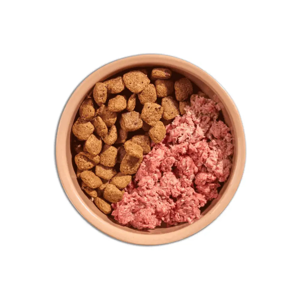 Terracotta bowl of Natures Menu Mighty Mixer Biscuit Salmon kibble with pink meat chunks for nutritious crunch in home prepared meals