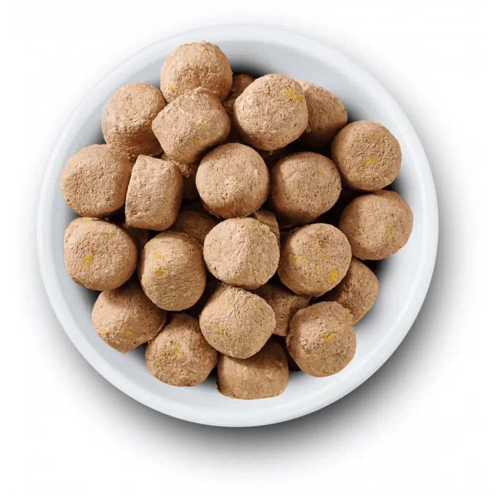 Chocolate chip cookie dough bites in white bowl, Nature’s Variety Complete Freeze Dried Dog Food Beef 120g