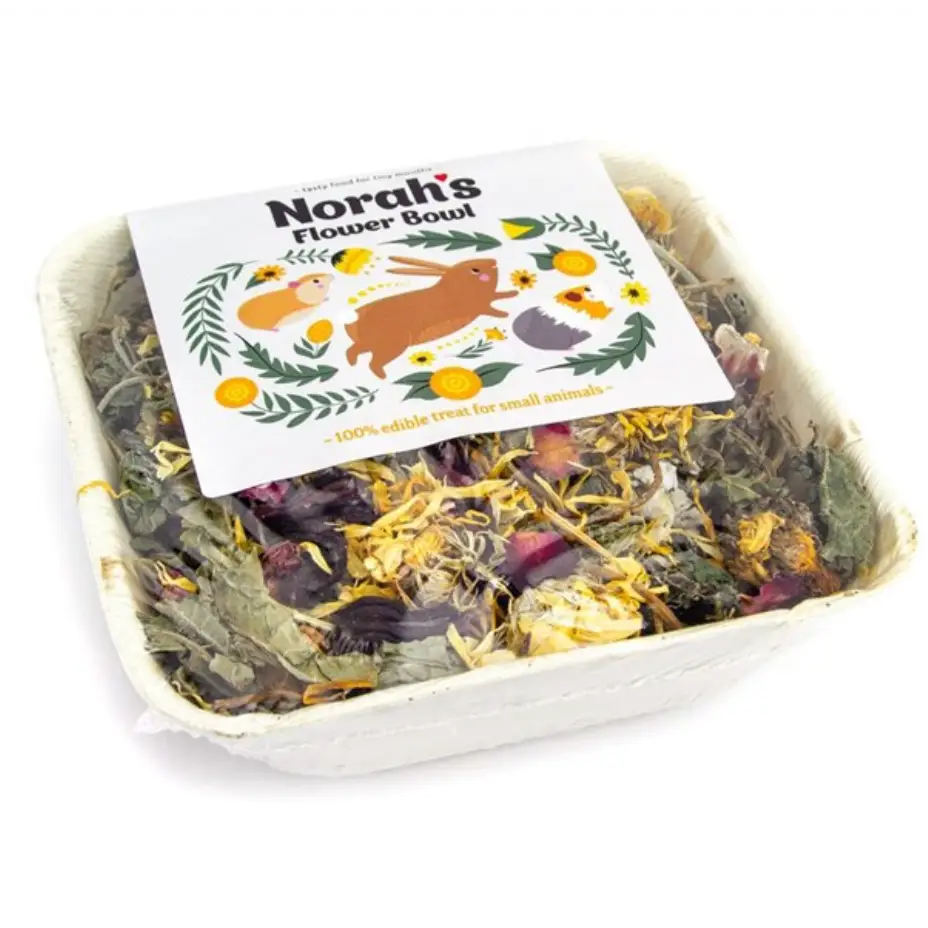 Norah’s Flower Bowl pet food tray encourages natural foraging with sustainably sourced palm