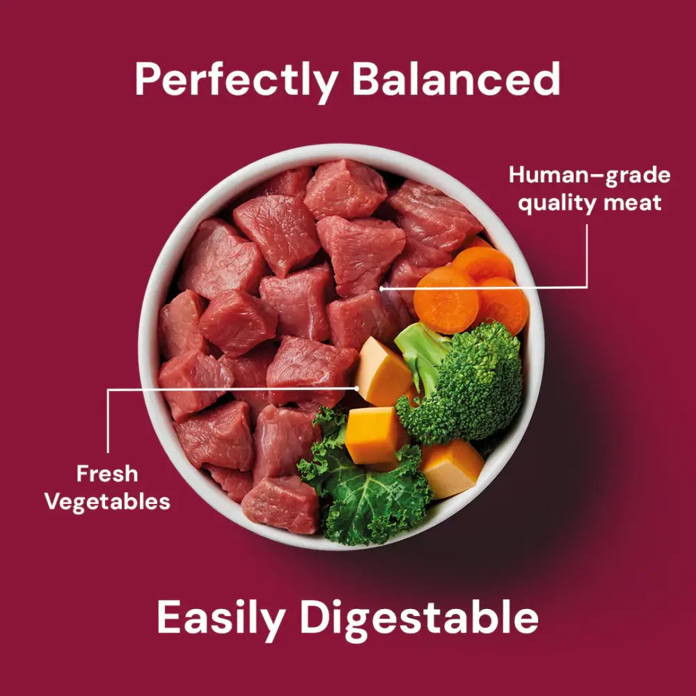 Nutriment Raw Boneless Beef 1.4kg - Natural Raw Dog Food
