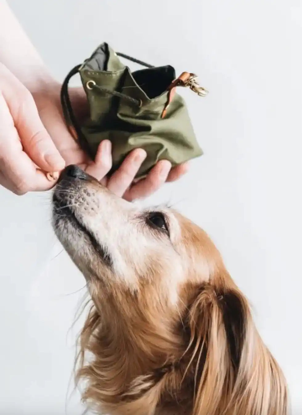 Olive green drawstring dog treat pouch with black lining and gold hardware.
