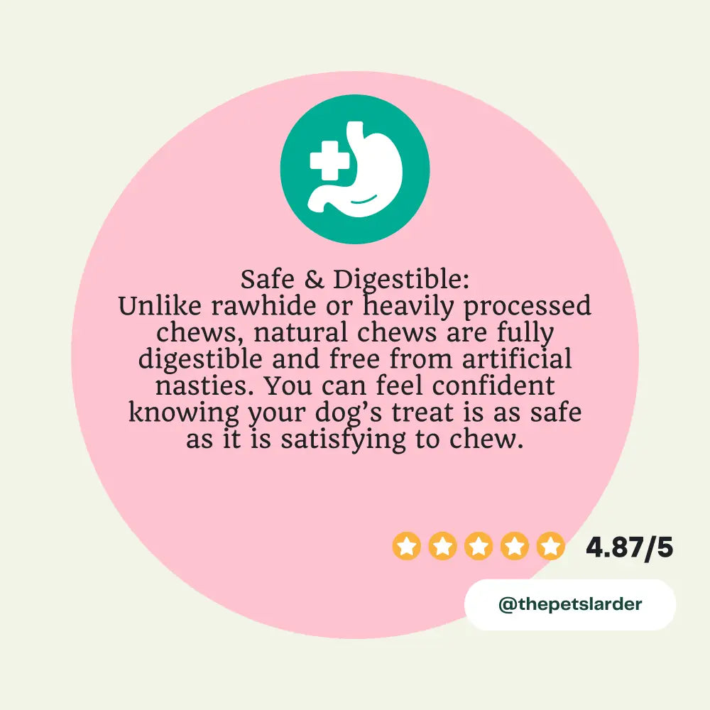 Natural Ostrich Bone Chew for Dogs with stomach illustration, a healthy raw hide alternative