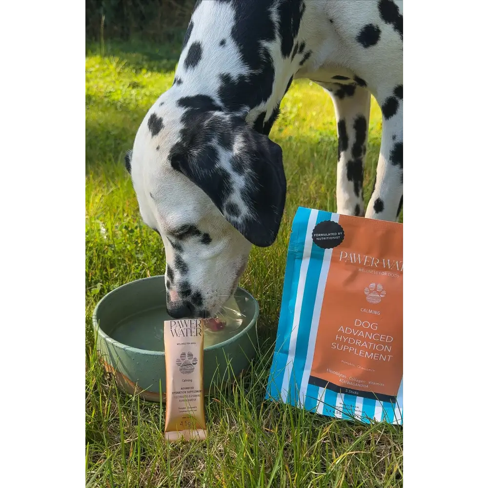 Dog hydration supplement tube with orange and blue packaging for Pawer Water Calming