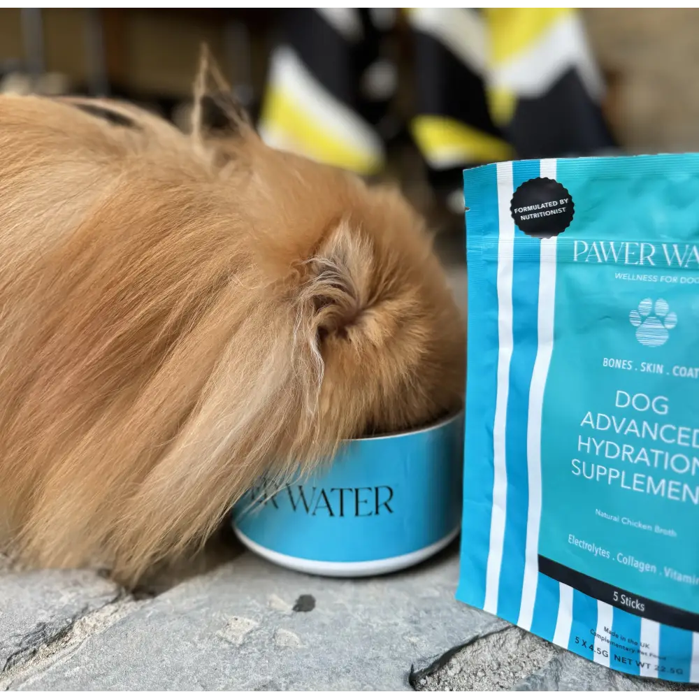 Pawer Water Joint Support supplement pouch with blue white stripes and natural ingredients