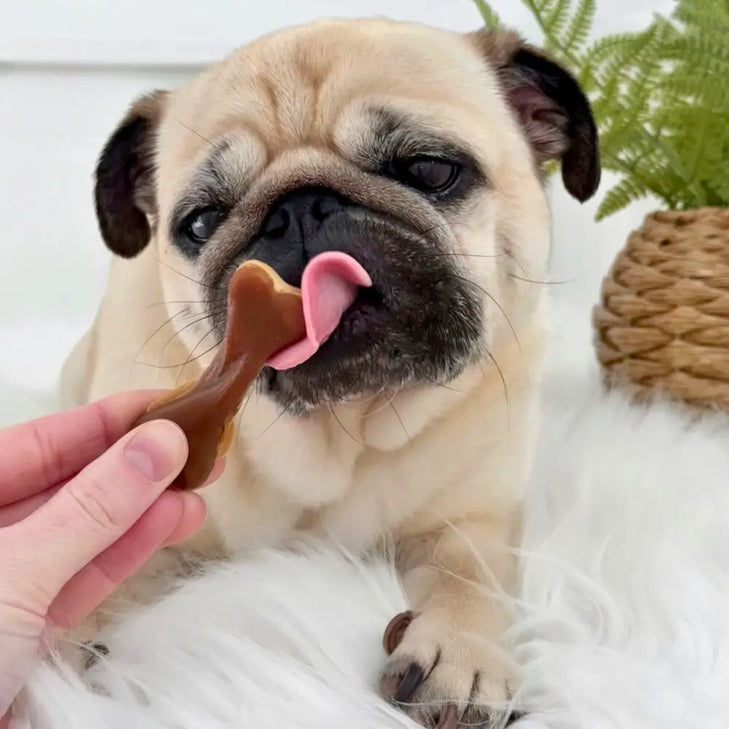Peanut Butter Bone Chews For Dogs