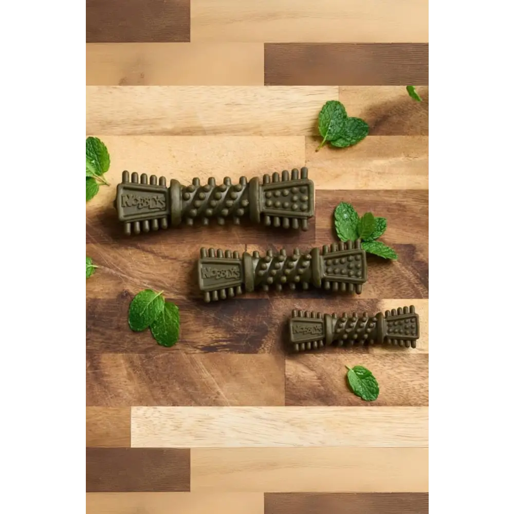 Petello Nobblys Tough Brush Mint olive green textured dental chew toy