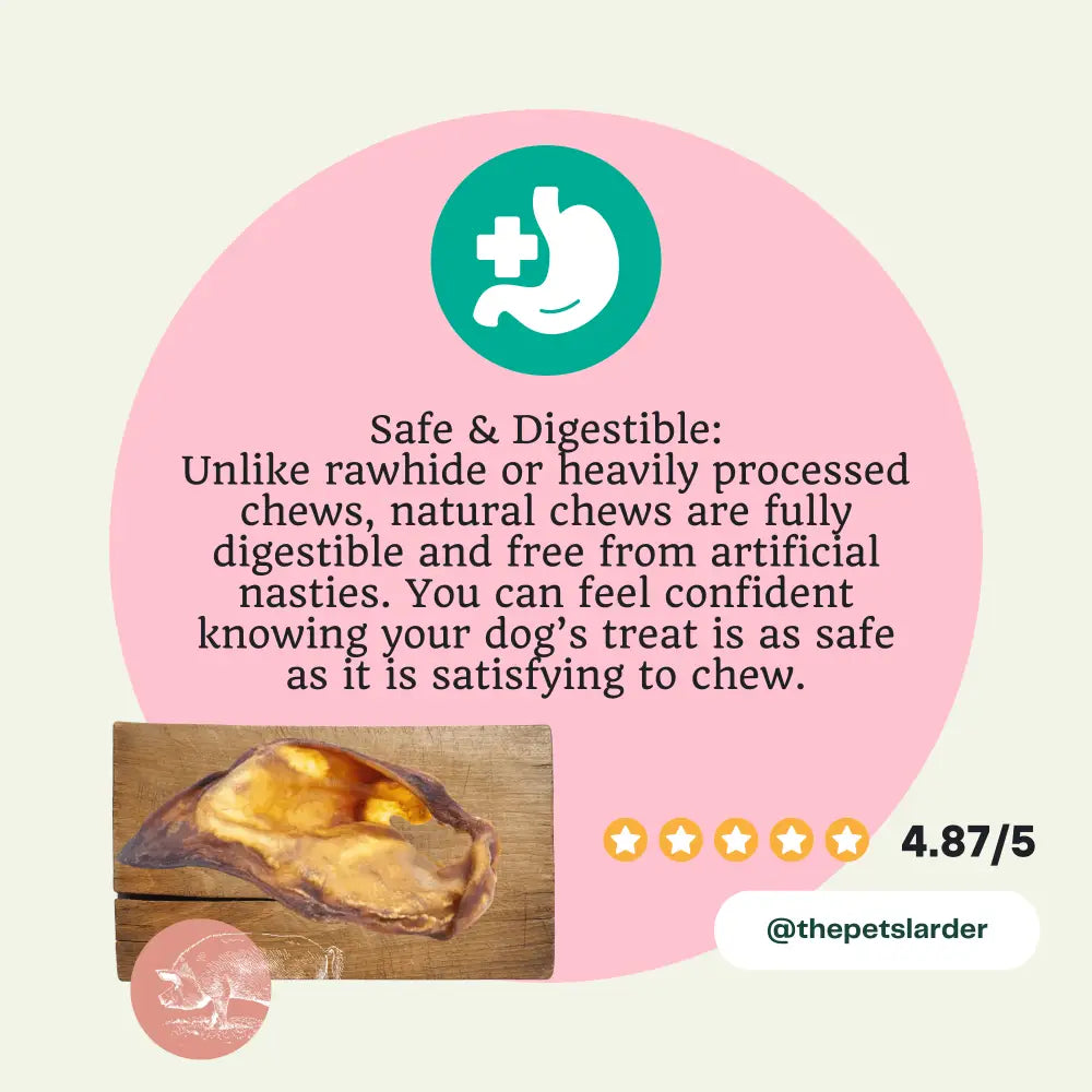 Natural pig ear dog chew treat with glossy rawhide texture in 1kg bag